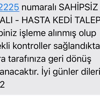 Beyoğlu Belediyesi Veterinerlik Hizmetlerinde Vatandaşlara Karşı Ayrımcılık