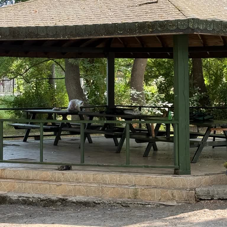 Çakırlar Korusu'nda Masaların Haksızca Rezerve Edilmesi Ve Denetimsizlik