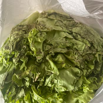 Online Siparişte Sürekli Kötü Ve Bozuk Manav Ürünleri Gönderiliyor