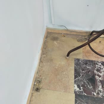 Ofis Temizliğinde Yetersiz Hizmet Ve Dikkatsiz Çalışanlar