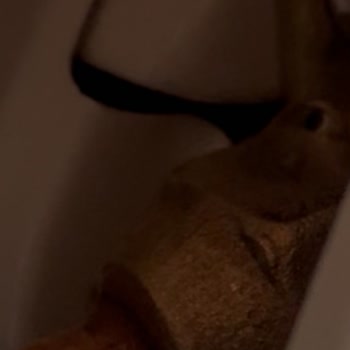 Bosch Klimamın Dış Ünitesi Arızalı Su Akıtıyor Servis Çözüm Sunmuyor