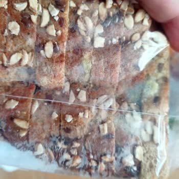 Küflü Ekmek Satışı Ve Şube Personelinin İlgisizliği Nedeniyle Mağduriyet