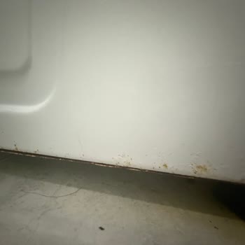 Garanti Kapsamında Paslanan Çamaşır Makinesi İçin Çözüm Bekliyorum