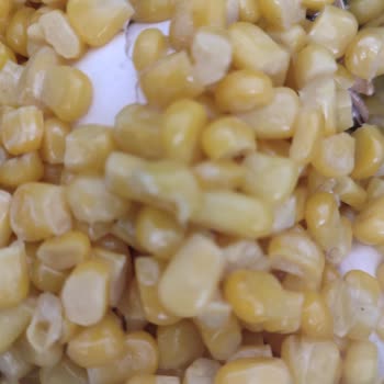 Mutfağım Dondurulmuş Ürünler BİM’den Son Kullanma Tarihi Geçmiş Ürün Satışıyla Hayal Kırıklığı