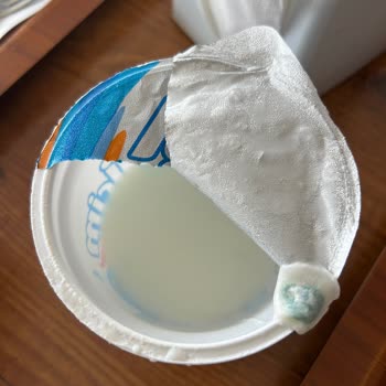 İçim Ayranında Yosun Benzeri Yabancı Madde Şoku