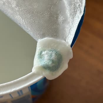 İçim Ayranında Yosun Benzeri Yabancı Madde Şoku