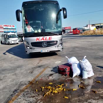 Otobüs Yolculuğunda Büyük İhmal: Bagajlar Ezildi, Firma Sessiz Kaldı