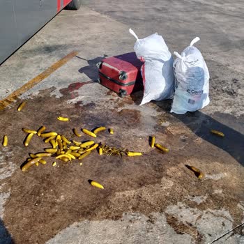 Otobüs Yolculuğunda Büyük İhmal: Bagajlar Ezildi, Firma Sessiz Kaldı