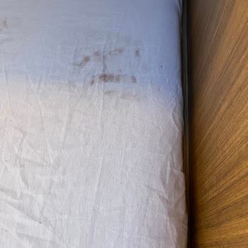 Vadi Karavan Otel Buca'da Yaşanan Tatil Fiyaskosu