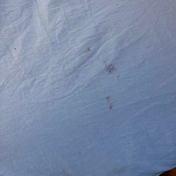 Vadi Karavan Otel Buca'da Yaşanan Tatil Fiyaskosu