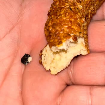 Aldığım Simidin İçinden Büyük Taş Çıktı Dişim Kırılabilirdi