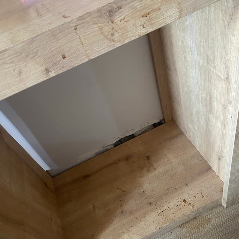 Club Tropical Beach Hotel Clup Tropical Hotel Alanya Kaliteden Eser Yok