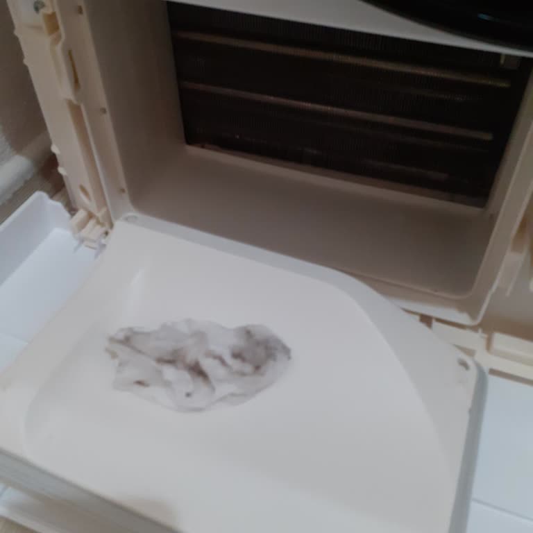 Vestel Kurutma Makinesinde Alt Filtrede Sürekli Su Ve Kir Birikmesi