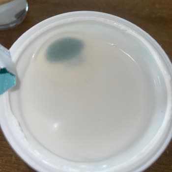 Bozuk Vegan Yoğurtlar Ve Yetersiz Müşteri Hizmeti