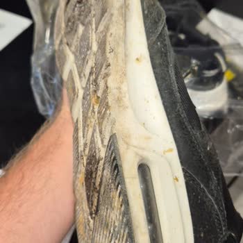 Ayakkabı Tabanı Eridi, Firma Sorumluluk Almadı Ve Ürün Küflendi