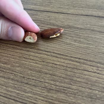 Satın Aldığım Kuruyemişte Güvelenme Ve Kurtlanma Sorunu, Taze Ürün Talebim Karşılanmadı