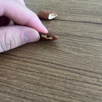 Satın Aldığım Kuruyemişte Güvelenme Ve Kurtlanma Sorunu, Taze Ürün Talebim Karşılanmadı