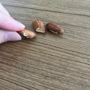 Satın Aldığım Kuruyemişte Güvelenme Ve Kurtlanma Sorunu, Taze Ürün Talebim Karşılanmadı