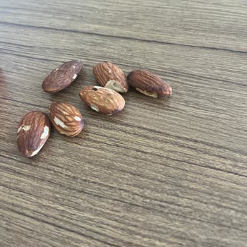 Satın Aldığım Kuruyemişte Güvelenme Ve Kurtlanma Sorunu, Taze Ürün Talebim Karşılanmadı