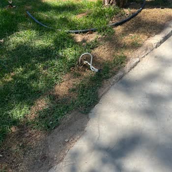 Hayal Kırıklığıyla Sonuçlanan Tatil: Beklentilerimiz Yerle Bir Oldu