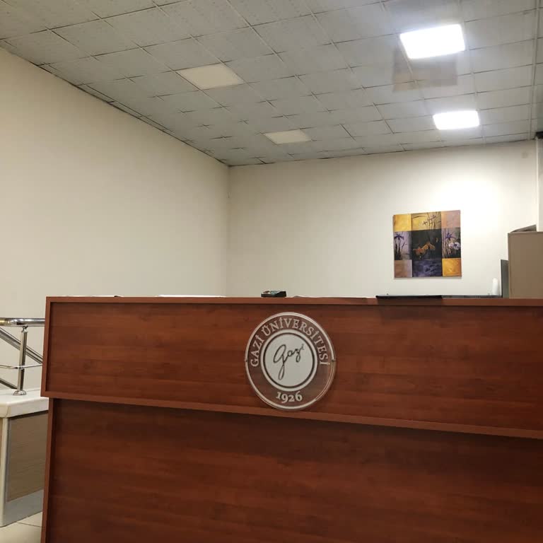 Gazi Üniversitesi Danışmanlıkta Yaşanan Saygısız Tavır Moralimi Bozdu