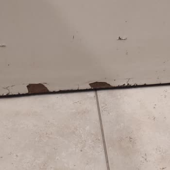 Güzel Plajın Ardında Hayal Kırıklığı: Kötü Temizlik Ve Yetersiz Hizmet Deneyimi