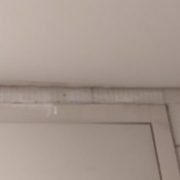 Güzel Plajın Ardında Hayal Kırıklığı: Kötü Temizlik Ve Yetersiz Hizmet Deneyimi