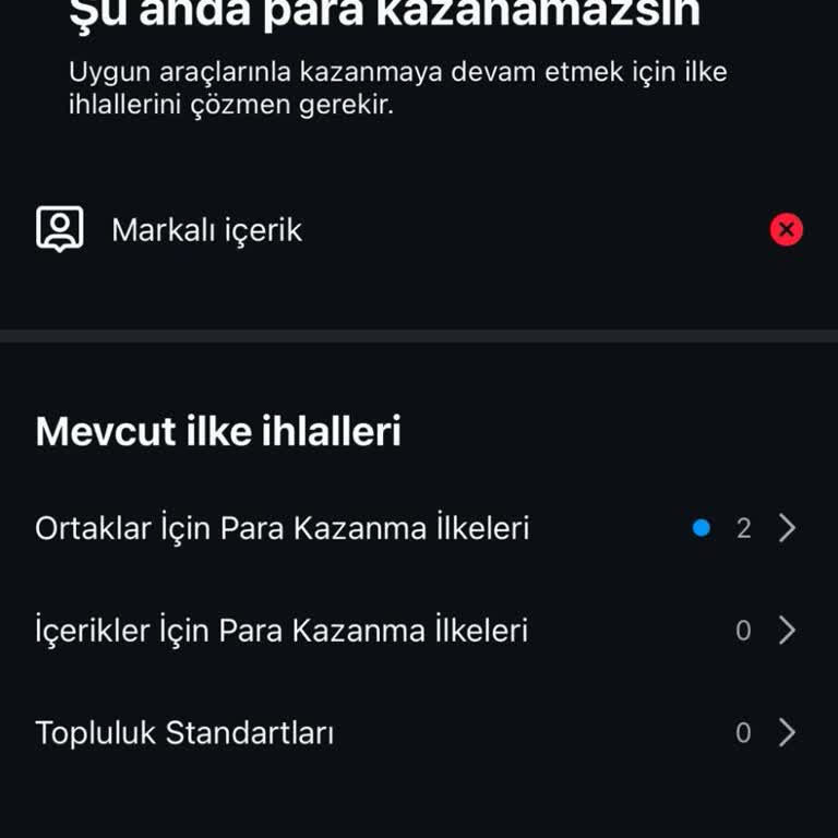 Instagram Hesabımda Haksız Para Kazanma Kısıtlaması Ve Destek Ekibi İlgisizliği