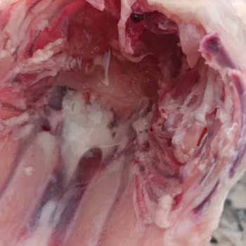 Market Tavuğunda Buz Şoku: Sağlık Ve Hijyen Endişesi!