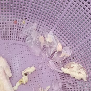 Market Tavuğunda Buz Şoku: Sağlık Ve Hijyen Endişesi!