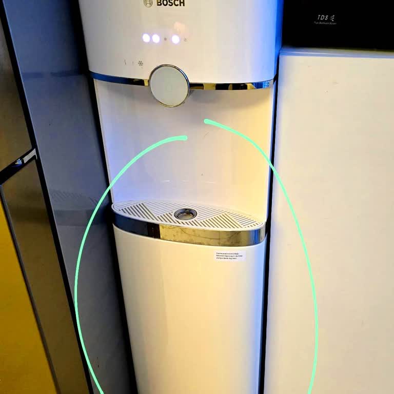 Bosch Su Sebilinde Beklenmedik Sararma Sorunu Yaşadım