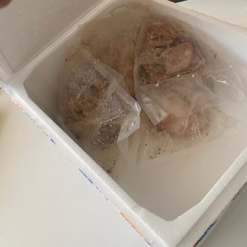 Soğuk Zincir Bozulmuş Ürünlere Dönüş Yapılmıyor