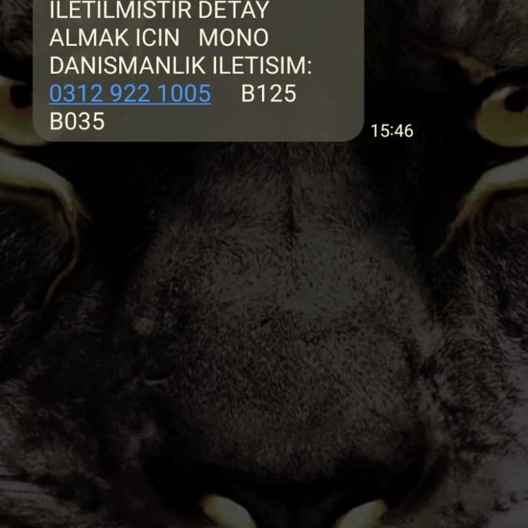 Bana Ait Olmayan İşlemlerle İlgili Asılsız SMS Ve Güvenlik Endişesi