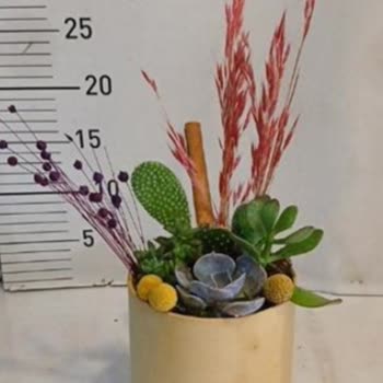 Siparişim Beklentilerimi Karşılamadı, Hayal Kırıklığına Uğradım