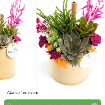 Siparişim Beklentilerimi Karşılamadı, Hayal Kırıklığına Uğradım