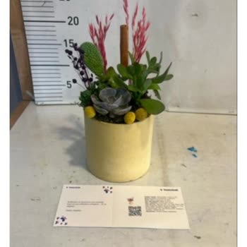 Siparişim Beklentilerimi Karşılamadı, Hayal Kırıklığına Uğradım