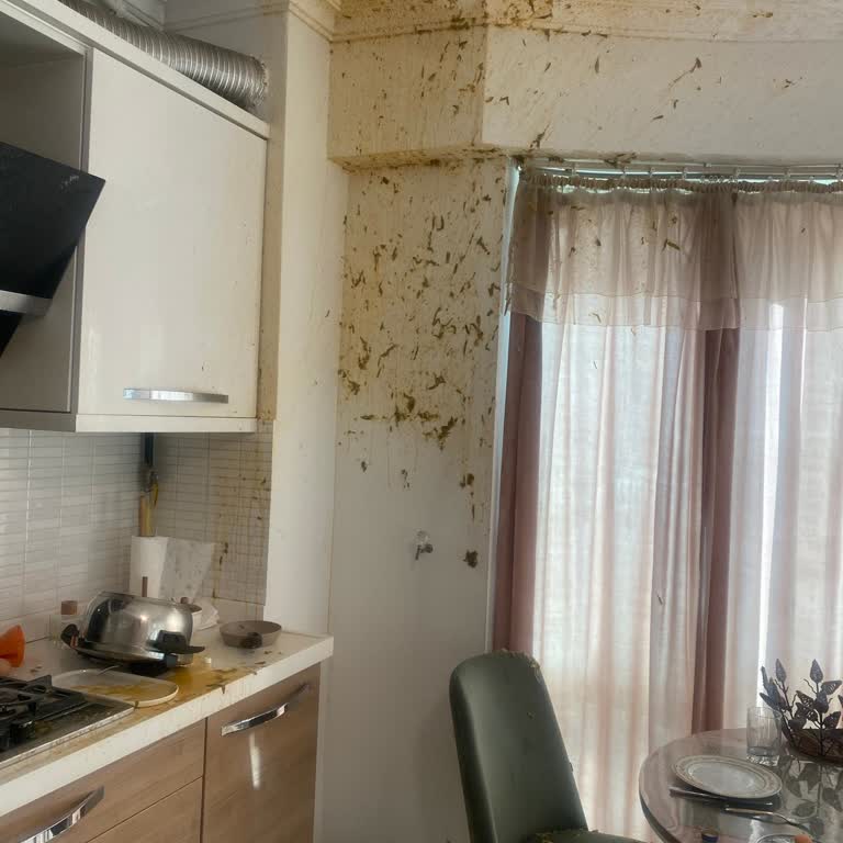 Fissler Düdüklü Tencere İki Kez Patladı: Güvenlik Ve Mağduriyet