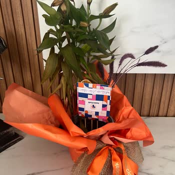 Taze Çiçek | Tazecicek.com Sipariş Verdiğim Çiçek Yanlış Ve Kalitesiz Gönderildi