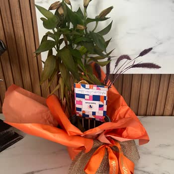 Taze Çiçek | Tazecicek.com Sipariş Verdiğim Çiçek Yanlış Ve Kalitesiz Gönderildi