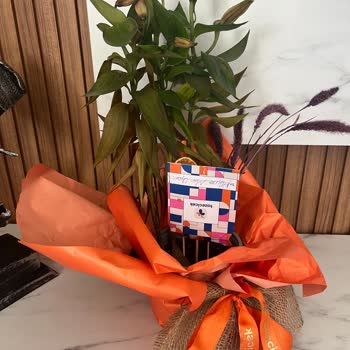 Taze Çiçek | Tazecicek.com Sipariş Verdiğim Çiçek Yanlış Ve Kalitesiz Gönderildi