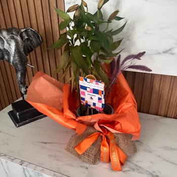 Taze Çiçek | Tazecicek.com Sipariş Verdiğim Çiçek Yanlış Ve Kalitesiz Gönderildi