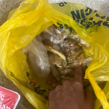 Şok Marketten Gelen Çürük Patatesler Ve Müşteri Hizmetlerinin İlgisizliği