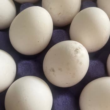 Migros Sanal Market Siparişimde Eksik Ve Hatalı Ürünler, Yetersiz Müşteri Hizmeti