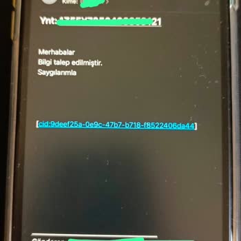 Shipentegra'nın Gümrükleme Sürecinde Yetersiz İletişim Ve Destek