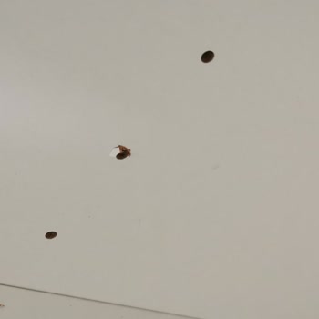 Kurulumda Hasar Ve İletişim Eksikliği Mağduriyetimi Artırdı