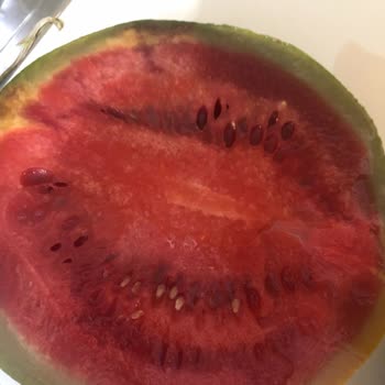 Aldığım Karpuz Çürük Çıktı, Param Boşa Gitti