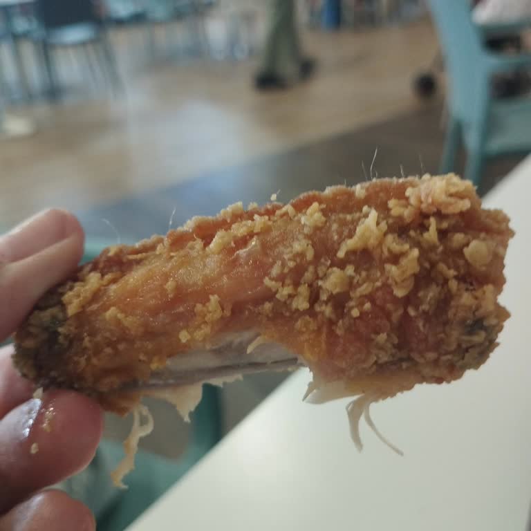 Popeyes'tan Aldığım Kanat Kovasında Kıl Çıkması Ve Yetersiz Çözüm