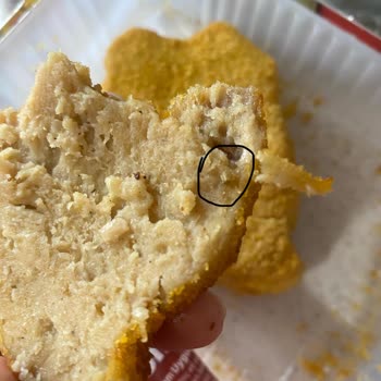 Gedik Piliç Tavukta Bozulma Ve Yabancı Cisim Şoku