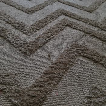 Aldığım Halının Hızla Yıpranması Ve Satıcıdan Destek Alamamam