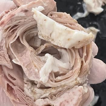 Akşeker Group Kokoreçte Temizlik Sorunu Ve Kötü Koku